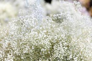 branco cor muitos cigano flor fundo decoração para Casamento amante foto