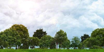 verde Campos e árvores nublado céu a Sol brilha panorâmico Visão 3d ilustração foto