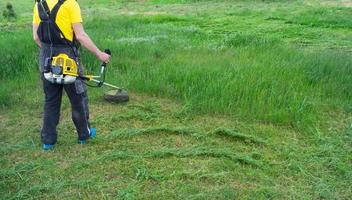 uma masculino jardineiro corta a verde Relva do a gramado dentro a quintal com uma Gasolina cortador de grama. aparador para a Cuidado do uma jardim enredo foto