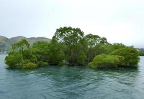 salgueiro ilha, lago wakatipu, Queenstown, Novo zelândia foto