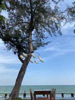 grande árvore com cadeiras em a de praia e mar foto