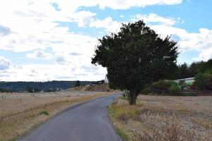 Fazenda estrada dentro verão foto