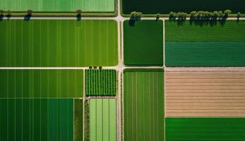 generativo ai, Fazenda paisagem, agrícola Campos, lindo interior, país estrada. natureza ilustração, fotorrealista topo Visão drone, horizontal bandeira. foto