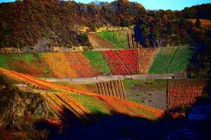 colorida ahr vale vinhas dentro outono foto