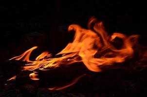 queimando madeira Histórico dentro a noite. borrado claro. brilhante vermelho fogo. natureza cenário. foto