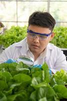 retrato do cientista fazendo experimentar dentro gricultura laboratório para desenvolver genético modificação cultivo foto