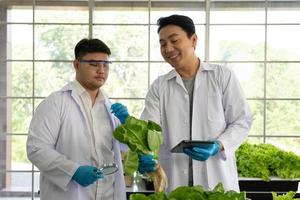 cientista equipe fazendo experimentar dentro agricultura laboratório para desenvolver genético modificação cultivo foto