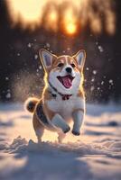 cachorro este é corrida dentro a neve. generativo ai. foto