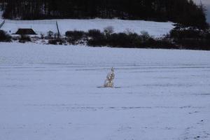 boneco de neve dentro sombrio panorama foto