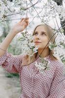 Loiras menina em uma Primavera andar dentro a jardim com cereja flores. fêmea retrato, fechar-se. uma menina dentro uma Rosa polca ponto vestir. foto