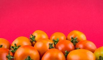 natureza morta, fotografia de tomates. foto