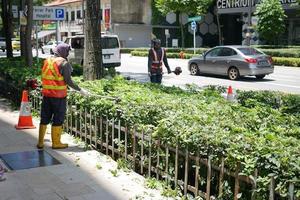 Cingapura 22 Junho 2022. uma trabalhador a partir de a município limpa caído folhas foto