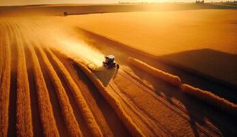 aéreo topo competir do terras agrícolas ouro trigo campo dentro a manhã com brilhando do luz solar, lindo cena, colheita arroz comida, agrícola conceito, com generativo ai. foto