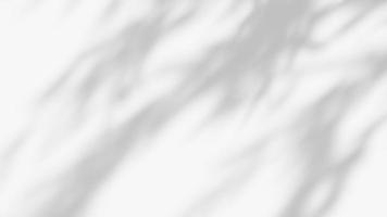 efeito de sobreposição de sombra de folha. fundo branco com sombras de folhas tropicais foto
