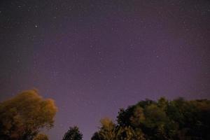 Visão em estrelado céu acima árvores foto