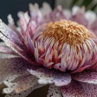 uma fechar acima do uma flor com fundo ai generativo foto