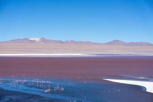 laguna colorida colorida no planalto altiplano na bolívia foto