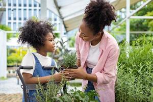 mãe e filha africanas estão escolhendo vegetais e ervas do berçário do centro de jardinagem local com carrinho de compras cheio de plantas de verão para jardinagem de fim de semana e conceito ao ar livre foto