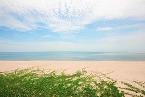 costeiro hera plantar em a tropical de praia com horizonte dentro marinha e azul oceano do ilha foto