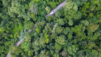 vista aérea de cima carro dirigindo pela floresta em estrada secundária, vista do drone foto
