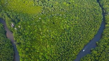 vista aérea superior de barco no rio em conservação de floresta de mangue na Tailândia foto
