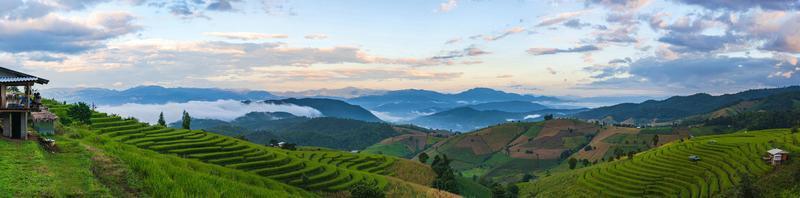 montanhas e terraços de arroz no norte da Tailândia foto