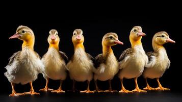 grupo engraçado patos forrado acima dentro uma linha generativo ai foto