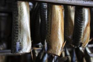 industrial fumar do peixe. cavalinha dentro uma fumar forno. foto