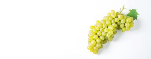 videira do fresco verde moscatel uvas, isolar em branco fundo. raminho do orgânico natural Comida. ai gerado. foto