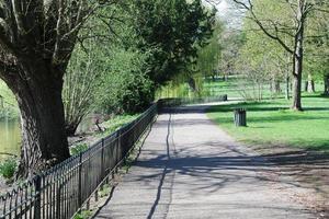 lindo Visão do árvores e galhos às local público parque do luton Cidade do Inglaterra foto