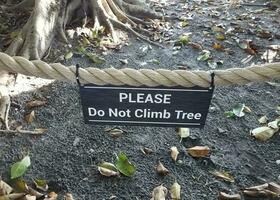 por favor Faz não escalar árvore placa em corda com árvore dentro fundo foto