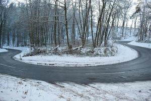 grampo curva dentro inverno floresta com neve foto