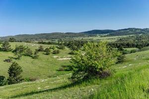 paisagem com colinas cobertas de grama verde foto