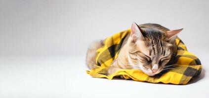 uma doente cansado malhado gato mentiras dormindo em uma amarelo xadrez, fechar-se. ai gerado. foto