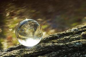 uma bola de lente em uma floresta de outono foto