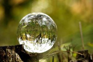 uma bola de lente em uma floresta de outono foto