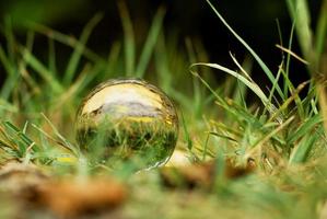 uma bola de lente em uma floresta de outono