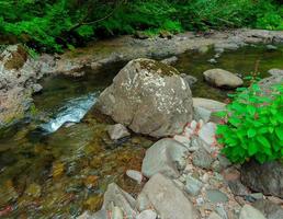 curso de água de verão - riacho hackleman - cordilheira - próximo ao cume da lápide - ou