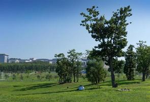 paisagem urbana com paisagem verde e árvores. foto