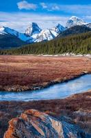 primavera em Kananaskis foto