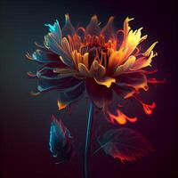 colorida dália flor em Preto fundo. digital pintura., ai generativo imagem foto