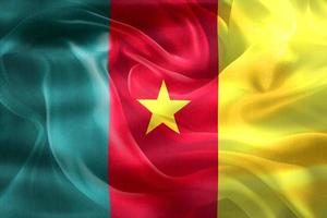 bandeira de camarões - bandeira de tecido acenando realista foto
