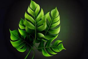 fresco verde folha com água derrubar, relaxamento natureza. generativo ai foto