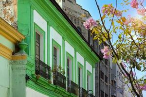 cênico colorida colonial arquitetura do cuernavaca ruas dentro histórico Centro dentro México Morelos foto