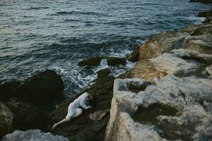 sensual mulher deitado em dela costas em uma rochoso Beira Mar panorama foto