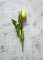 vista de cima mesa tulipa amarela foto