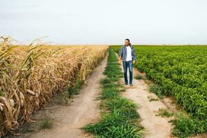 feliz agricultor é em pé dentro dele Pimenta plantação. foto