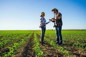 agricultor casal em seus terra e plantação foto