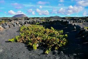 vovó canaria vulcânico panorama foto