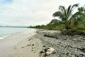 vista panorâmica da praia foto